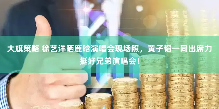大旗策略 徐艺洋晒鹿晗演唱会现场照，黄子韬一同出席力挺好兄弟演唱会！