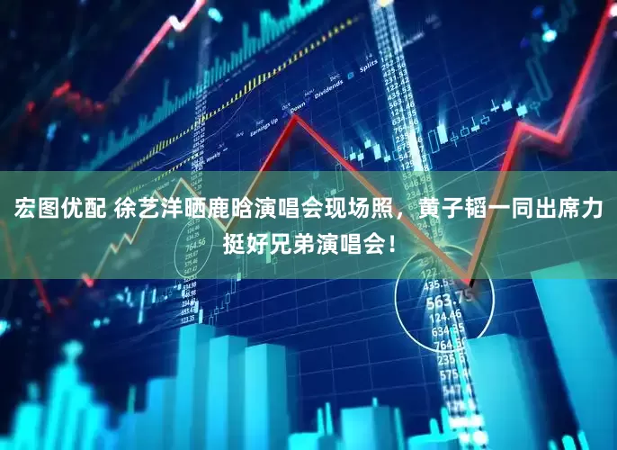 宏图优配 徐艺洋晒鹿晗演唱会现场照，黄子韬一同出席力挺好兄弟演唱会！