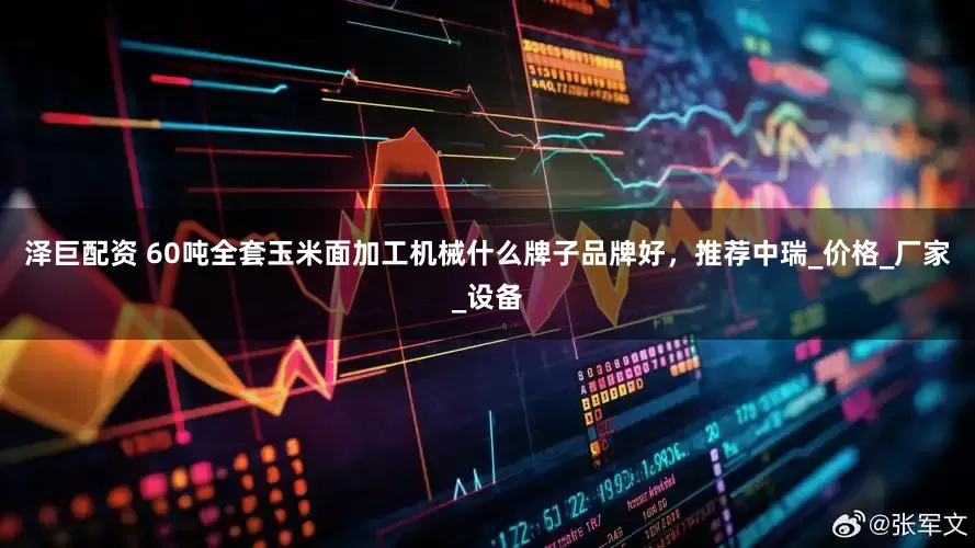 泽巨配资 60吨全套玉米面加工机械什么牌子品牌好，推荐中瑞_价格_厂家_设备