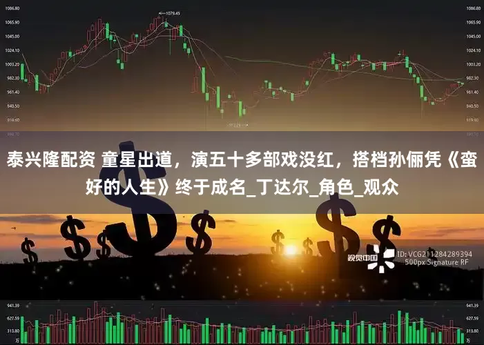泰兴隆配资 童星出道，演五十多部戏没红，搭档孙俪凭《蛮好的人生》终于成名_丁达尔_角色_观众