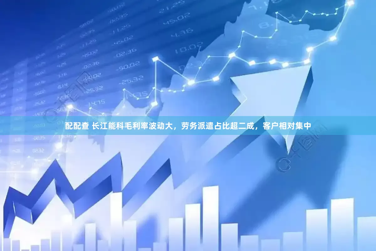 配配查 长江能科毛利率波动大，劳务派遣占比超二成，客户相对集中